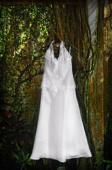 Image showing Wedding Gown