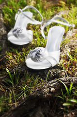 Image showing Wedding Shoes