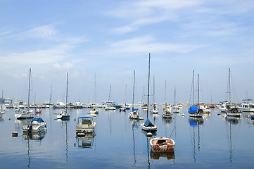 Image showing Sailboats