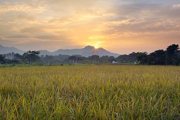 Image showing Golden sunset over farm field 