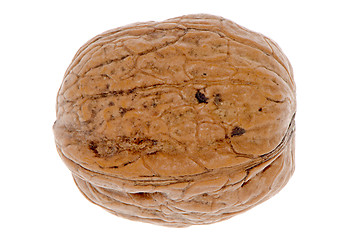 Image showing Simple wallnut