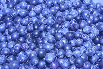 Image showing blueberrys