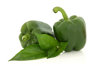 Image showing Green Peppers