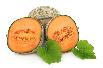 Image showing Cantaloupe Melon