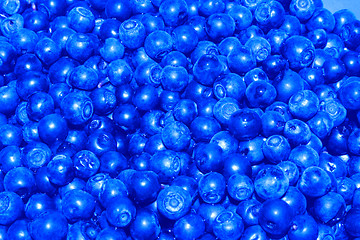 Image showing blueberry