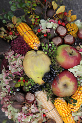 Image showing Autumn Harvest