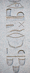 Image showing Hieroglyphics from the Obelisk of Thutmosis III in Istanbul