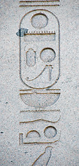 Image showing Hieroglyphics from the Obelisk of Thutmosis III in Istanbul