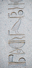 Image showing Hieroglyphics from the Obelisk of Thutmosis III in Istanbul