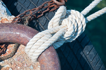 Image showing Sailor's knot