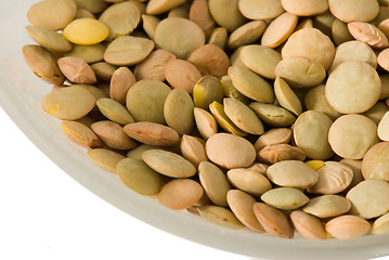 Image showing Cup of lentils