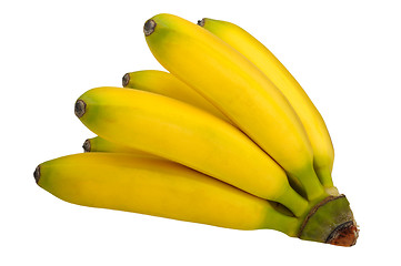 Image showing branch of bananas