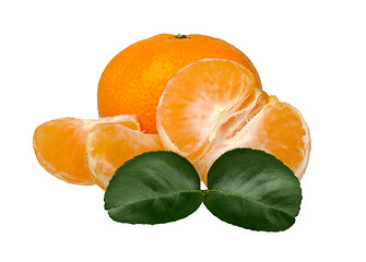 Image showing tangerines with leaves