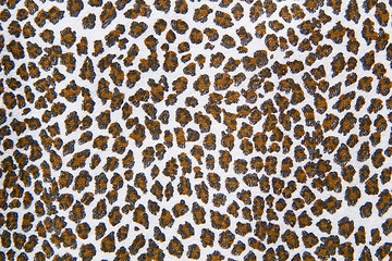 Image showing texture fabric with a leopard pattern