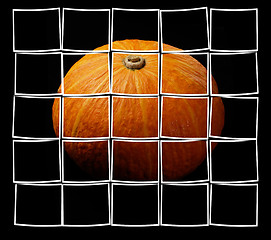 Image showing pumpkin