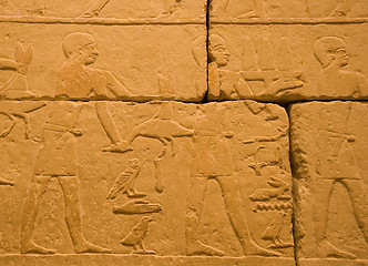 Image showing Ancient egyptian hieroglyphs
