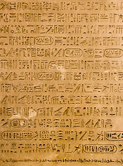 Image showing Egyption hieroglyphs