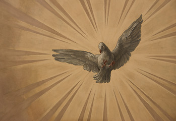Image showing Dove on the sun rays