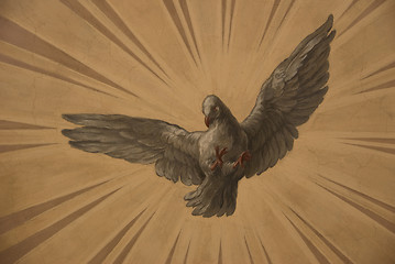 Image showing Dove on the sun rays