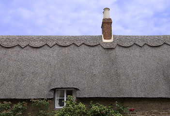 Image showing Thatched roof of an English cottage