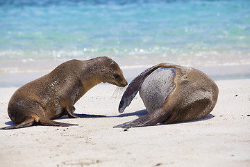 Image showing Wake up mommy