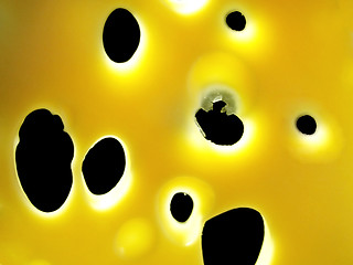 Image showing holes in cheese 