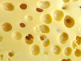 Image showing cheese