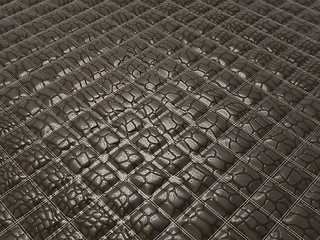 Image showing Alligator skin with stitched rectangles.