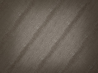 Image showing Alligator skin texture or background