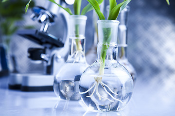 Image showing Plant laboratory