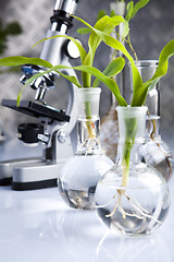 Image showing Experimenting with flora in laboratory 