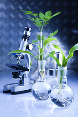 Image showing Laboratory glass  