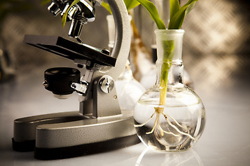 Image showing Laboratory glass  