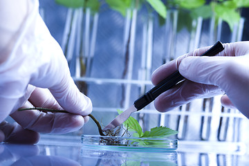 Image showing Plant laboratory