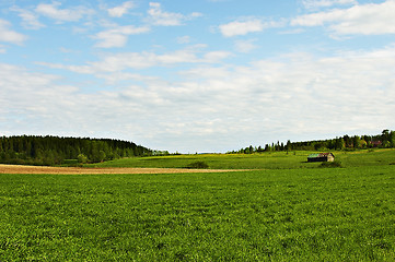 Image showing Summer landscape