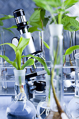 Image showing Plant laboratory