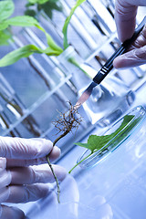 Image showing Plant laboratory