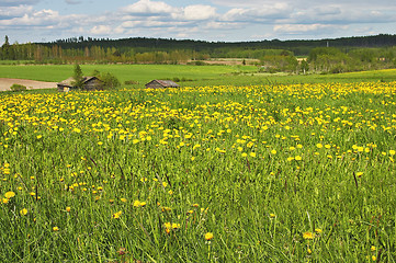 Image showing Summer landscape