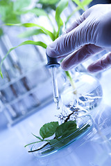 Image showing Plant laboratory