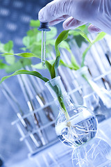 Image showing Plant laboratory