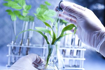 Image showing Plant laboratory