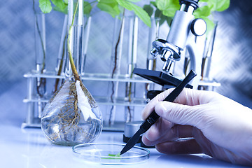 Image showing Working in a laboratory and plants 