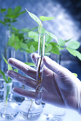 Image showing Working in a laboratory and plants 