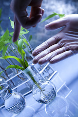 Image showing Plant laboratory