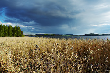 Image showing Before the summer storm