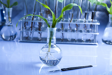 Image showing Plants and laboratory 