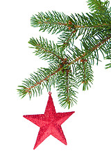 Image showing red christmas star hanging from tree