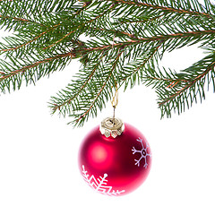 Image showing red ball hanging from spruce christmas tree