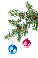 Image showing ball hanging from spruce christmas tree