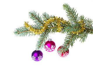 Image showing christmas balls on spruce branch